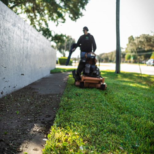 Lawn Maintenance